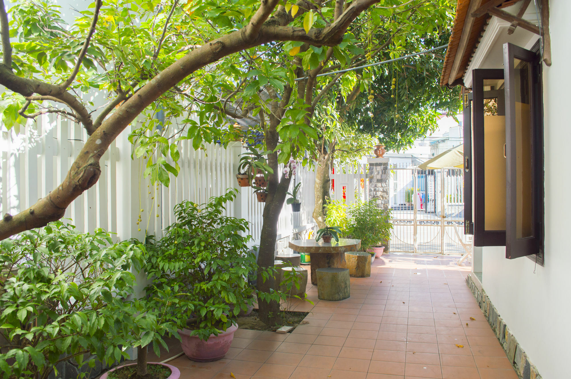 הוי אן Halo Homestay מראה חיצוני תמונה