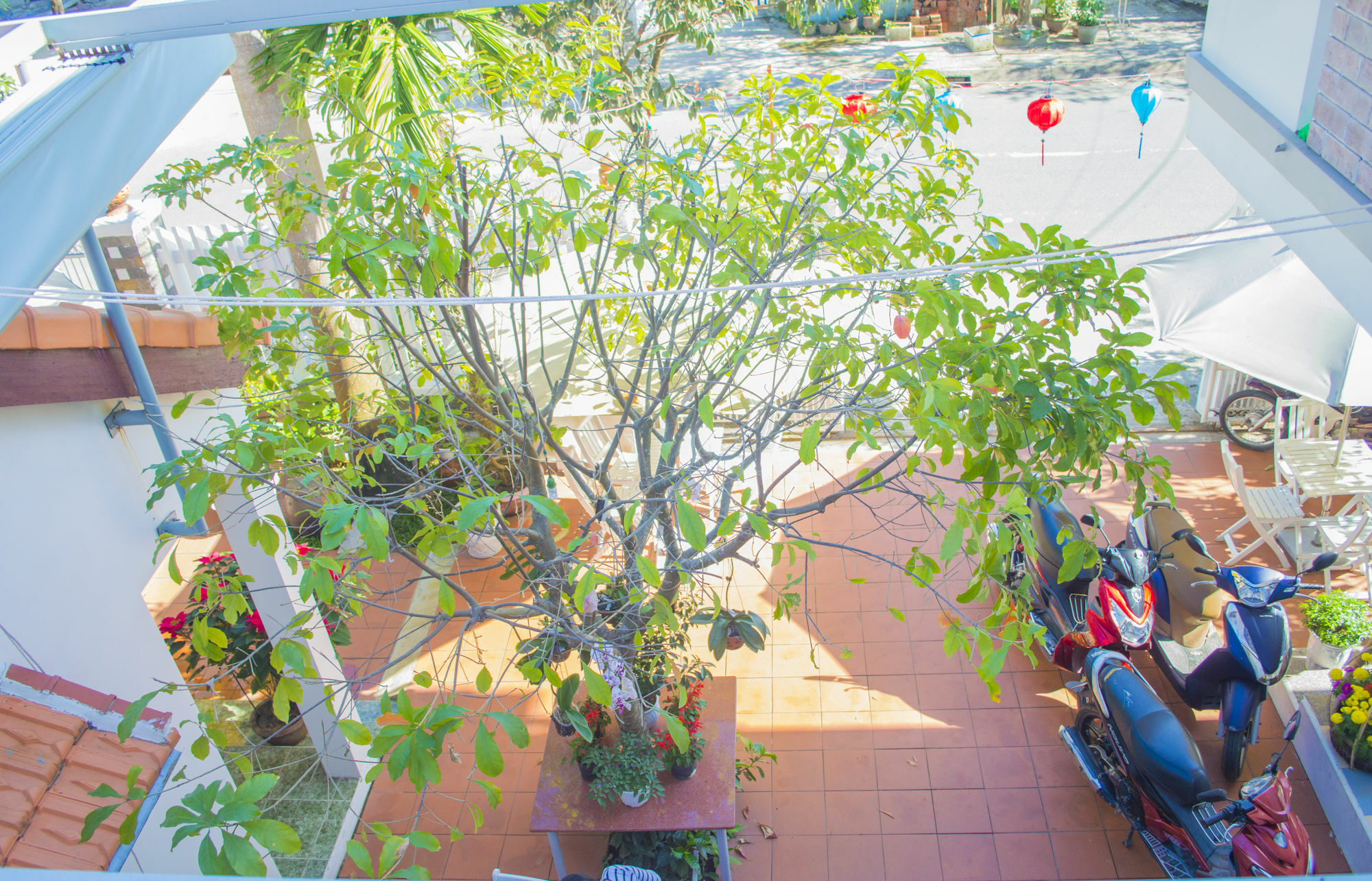 הוי אן Halo Homestay מראה חיצוני תמונה